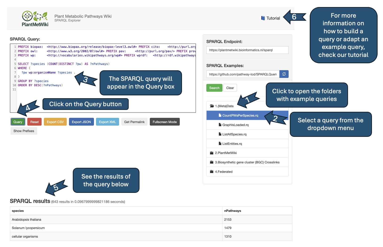 New Snorql Interface